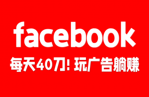 【原创双语字幕】$40启动FB躺赚广告!日销模板+急救术,小白日入指南