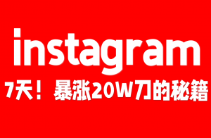 【原创双语字幕】吸金7天！Instagram故事暴涨20万刀秘籍，六位数发布攻略！